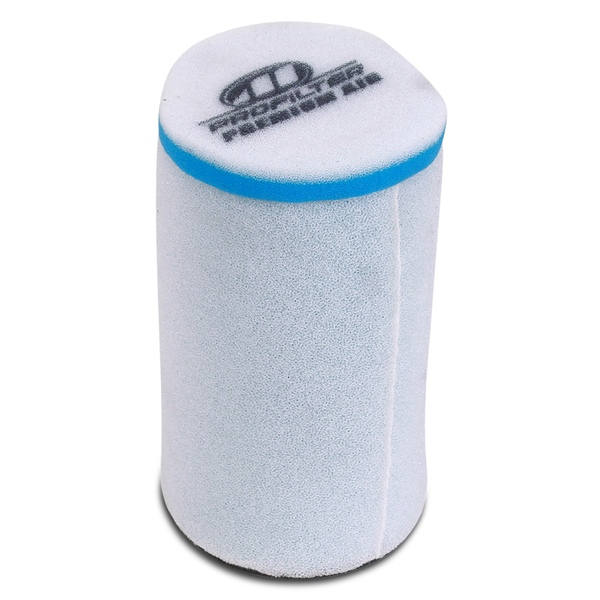 Profilter Filtre à air Premium Polaris