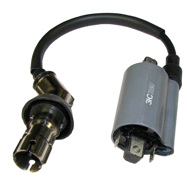Outside Distributing Bobine d'allumage externe 217488