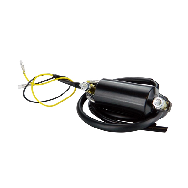 Kimpex HD Bobine d'allumage externe 6 volts Universel - 225673